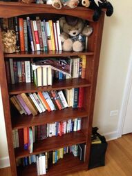 Fiction Bookshelf