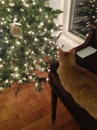 Christmas Tree & Samson 