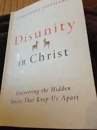 Disunity In Christ