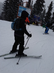Skiier With Bag 