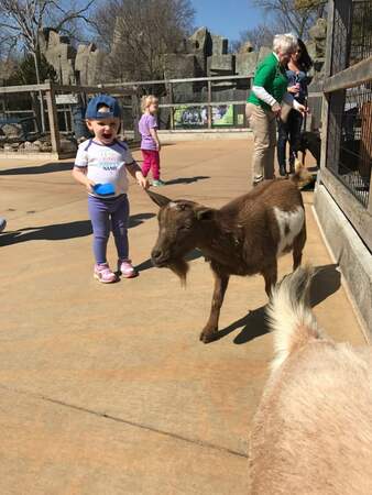 Hope And The Goats March 2017